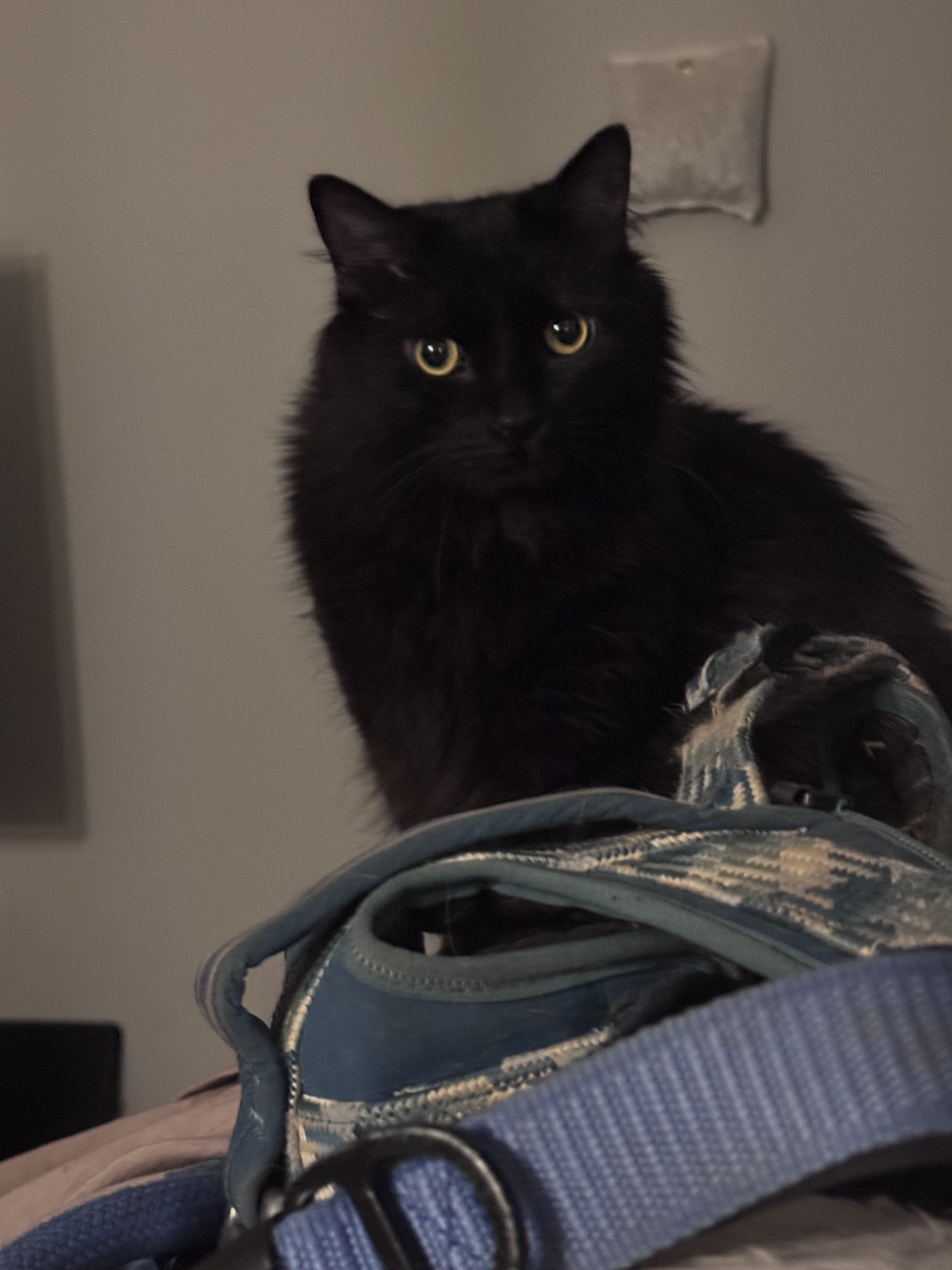 The devil has a restraining Order